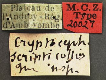 Media type: image; Entomology 20027   Aspect: labels